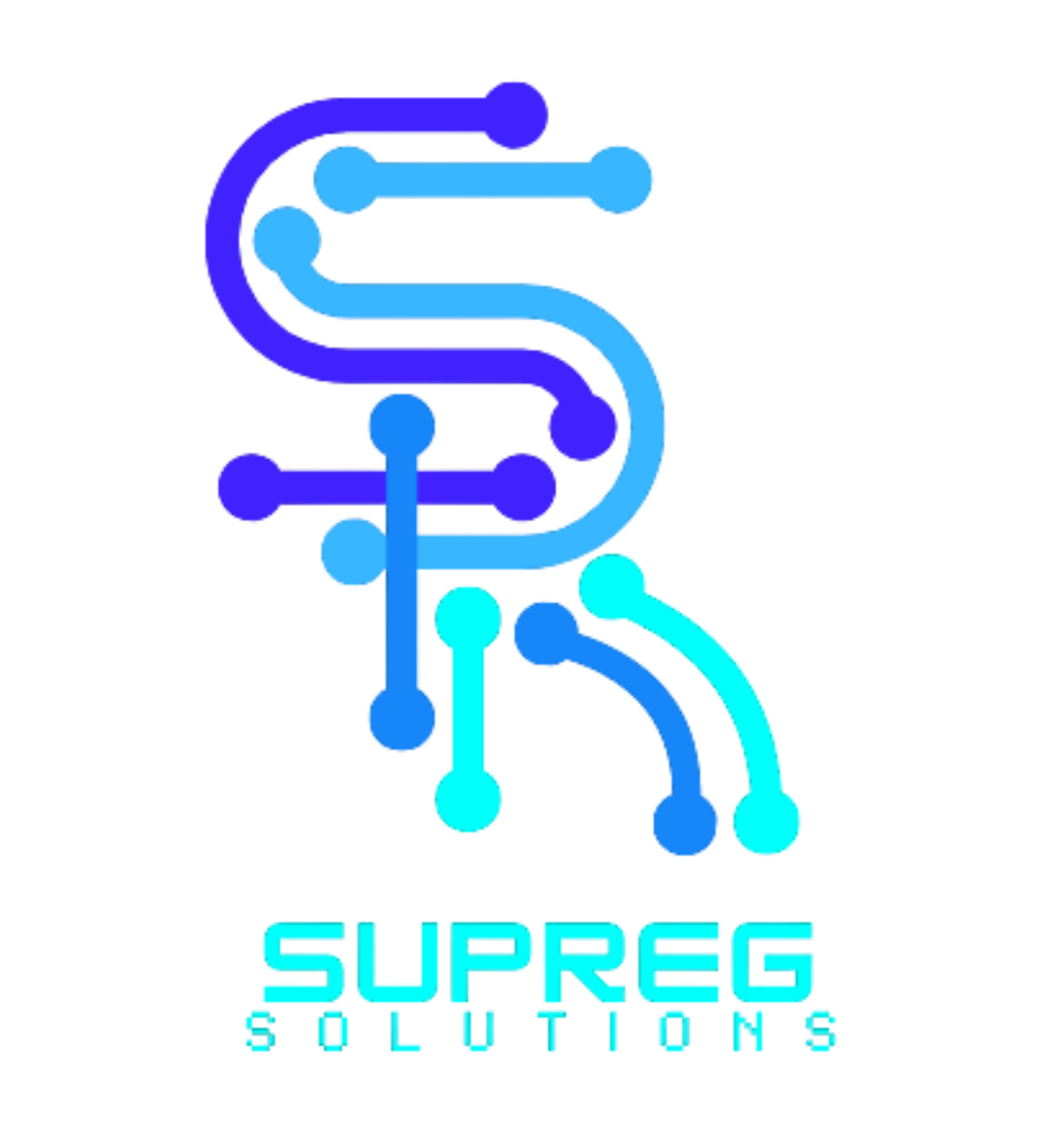 Logo SupReg Solutions completo